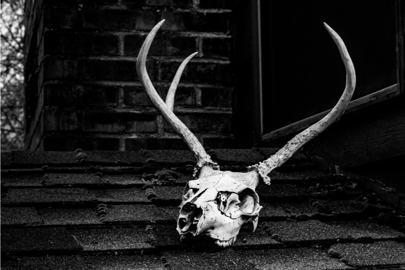 Death Metal
